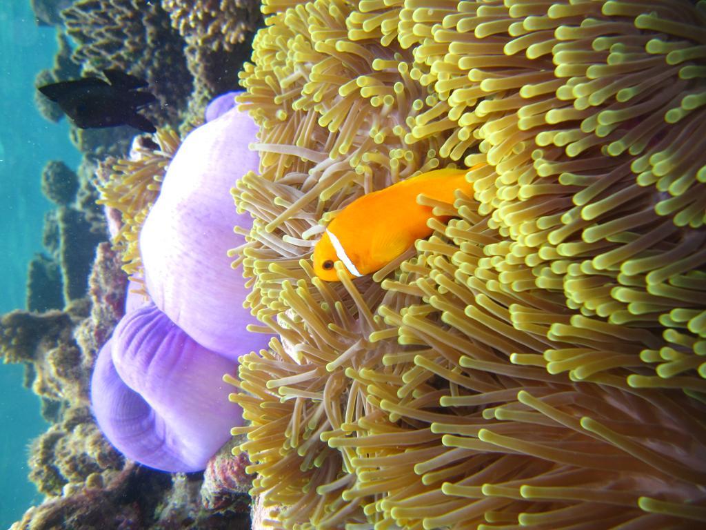 Marinabayvilla-Himandhoo Zewnętrze zdjęcie