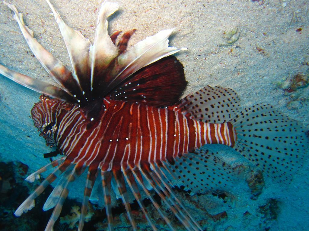 Marinabayvilla-Himandhoo Zewnętrze zdjęcie
