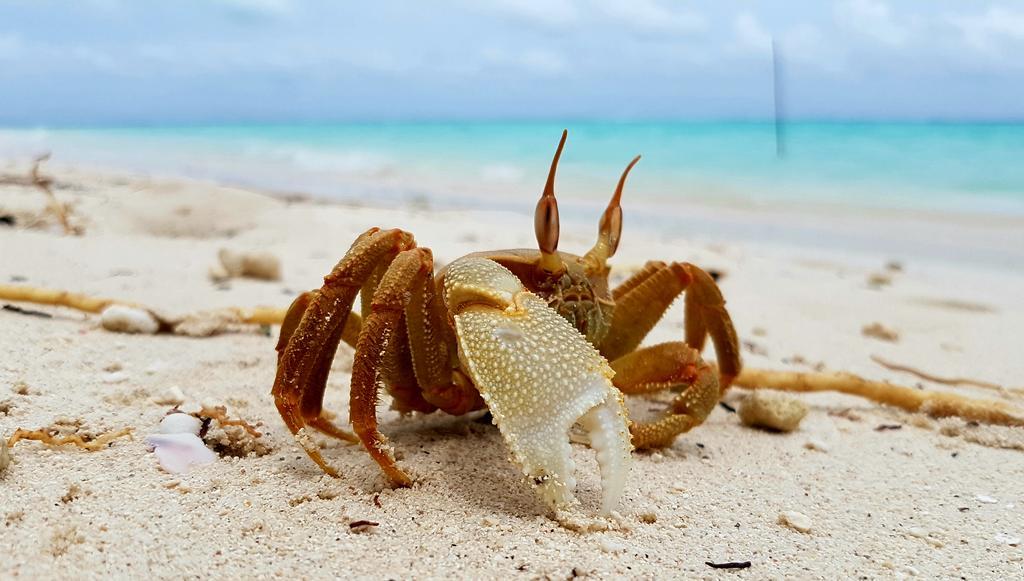 Marinabayvilla-Himandhoo Zewnętrze zdjęcie
