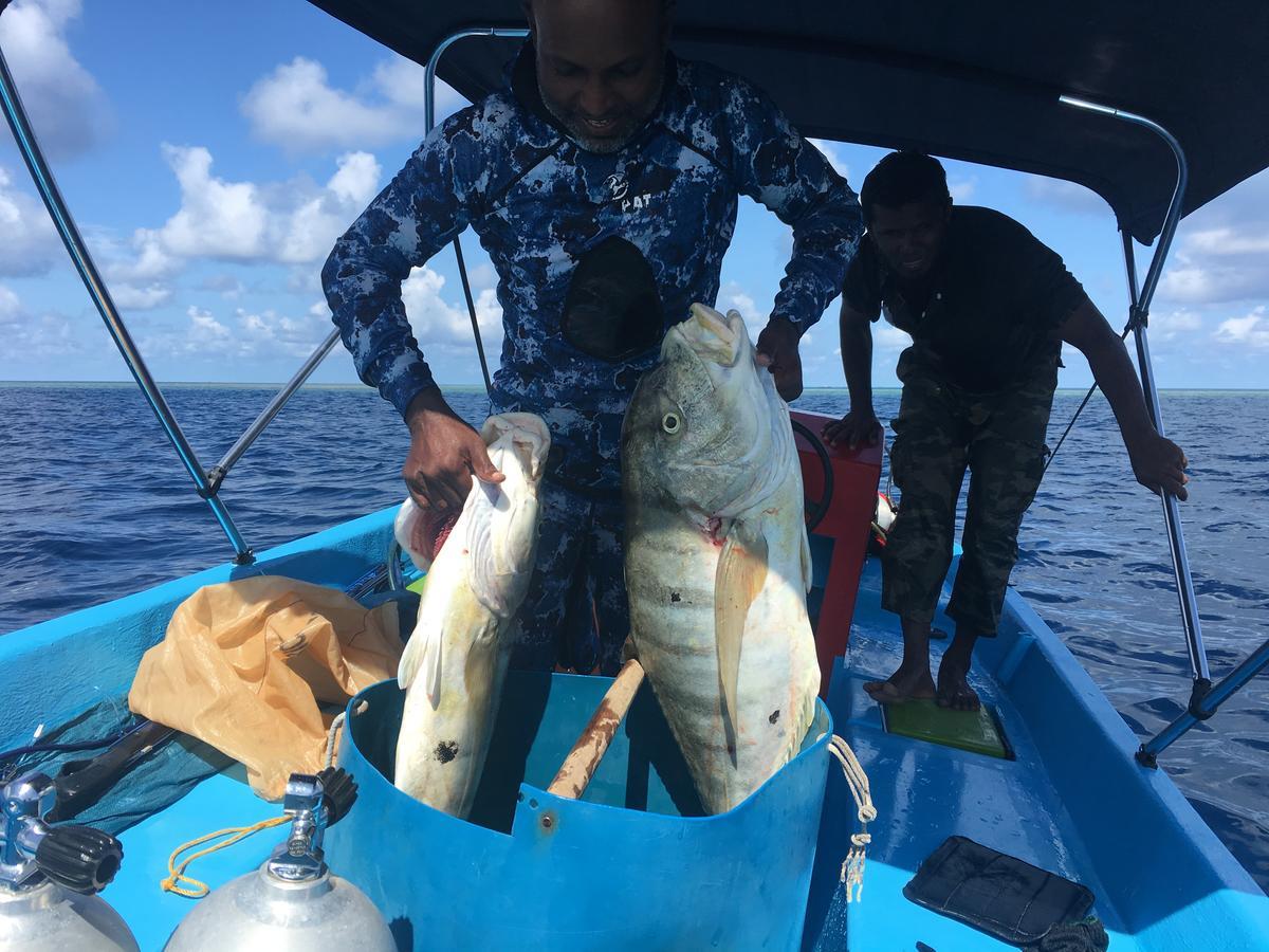 Marinabayvilla-Himandhoo Zewnętrze zdjęcie